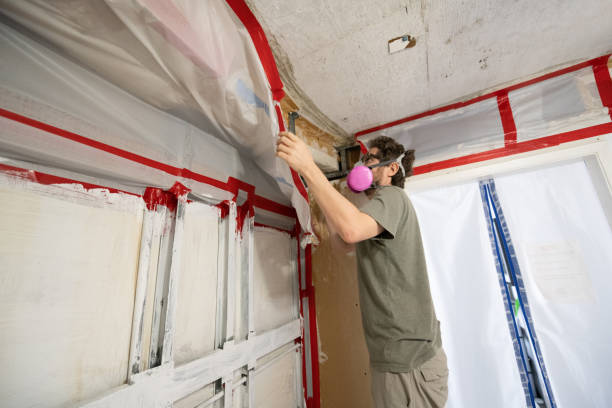  Golden Shores, AZ Mold Removal Pros